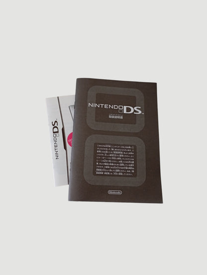 consola nintendo ds fat turquesa en caja